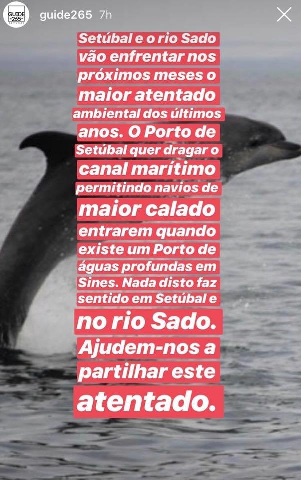 rio sado.jpg