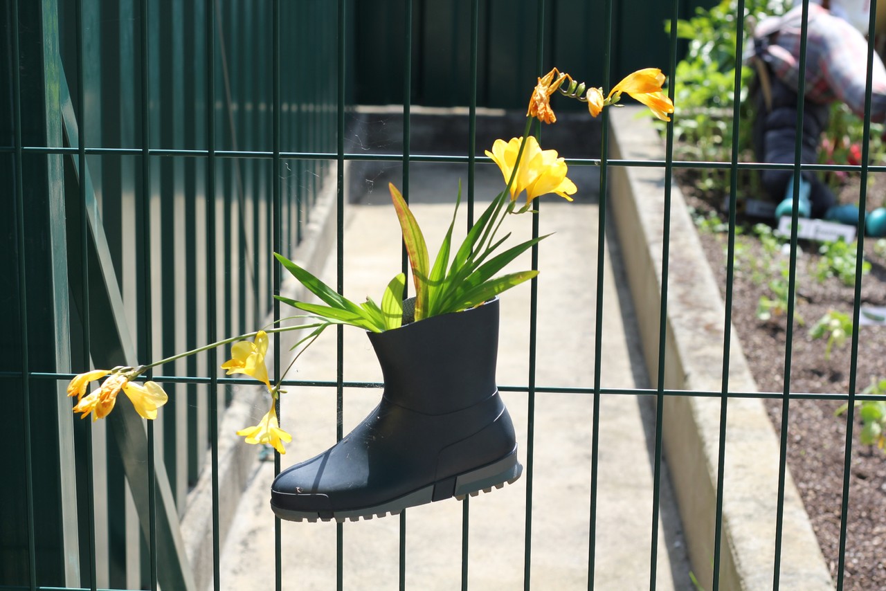 IMG_3752.jpg IMG_3752.jpg