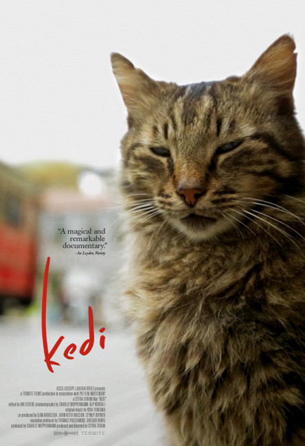 Kedi movie poster.jpg