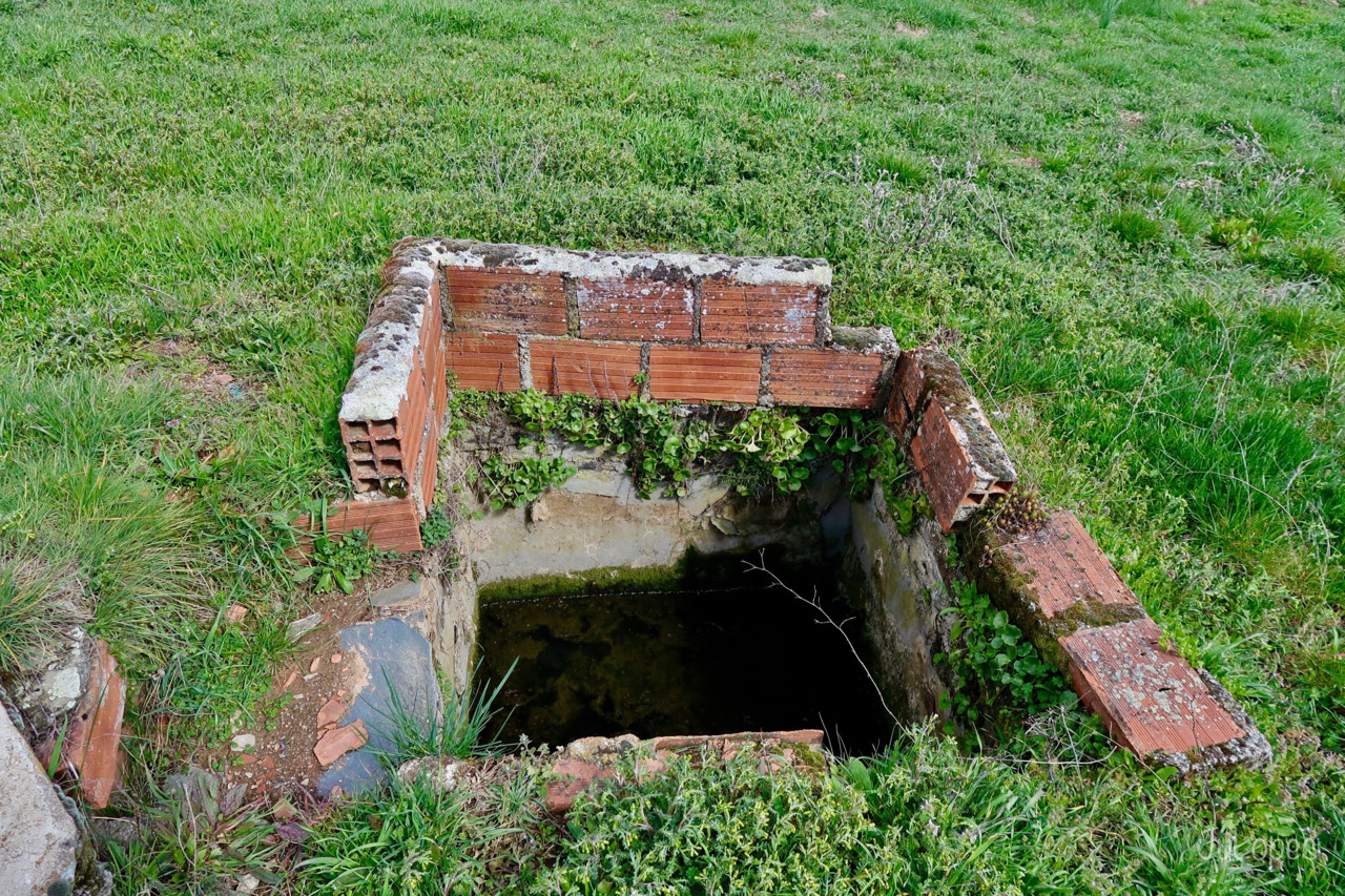 IMG_0216.jpg IMG_0216.jpg