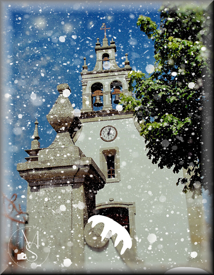 21Dez DSC06498_ms.jpg