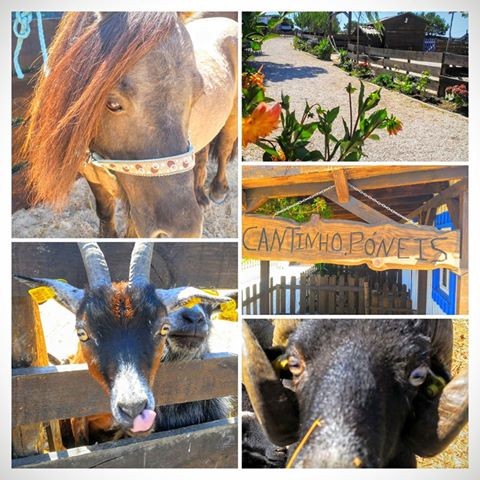 14517482_355288774812891_8738742716105025631_n.jpg 14517482_355288774812891_8738742716105025631_n.jpg