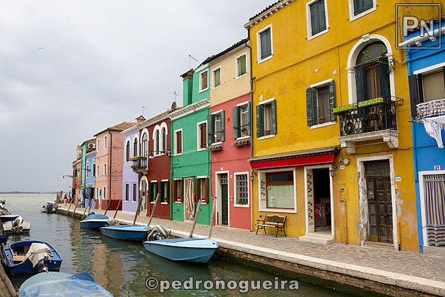 _MG_1164 650px.jpg _MG_1164 650px.jpg