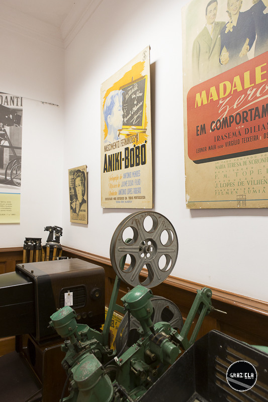 ANIM-6477.jpg ANIM-6477.jpg