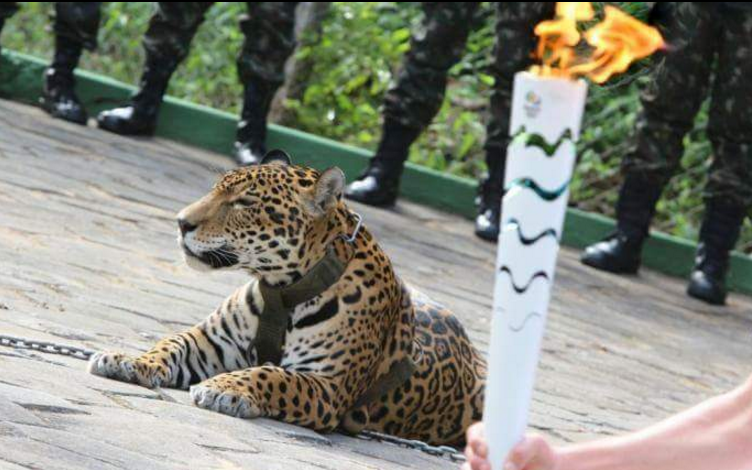 Screenshot 2016-06-22 at 08.32.51.png