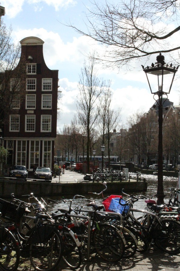 IMG_1552.JPG IMG_1552.JPG