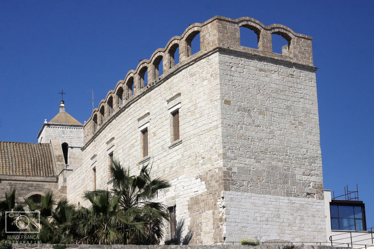 IMG_5734_net_redimensionada.jpg IMG_5734_net_redimensionada.jpg