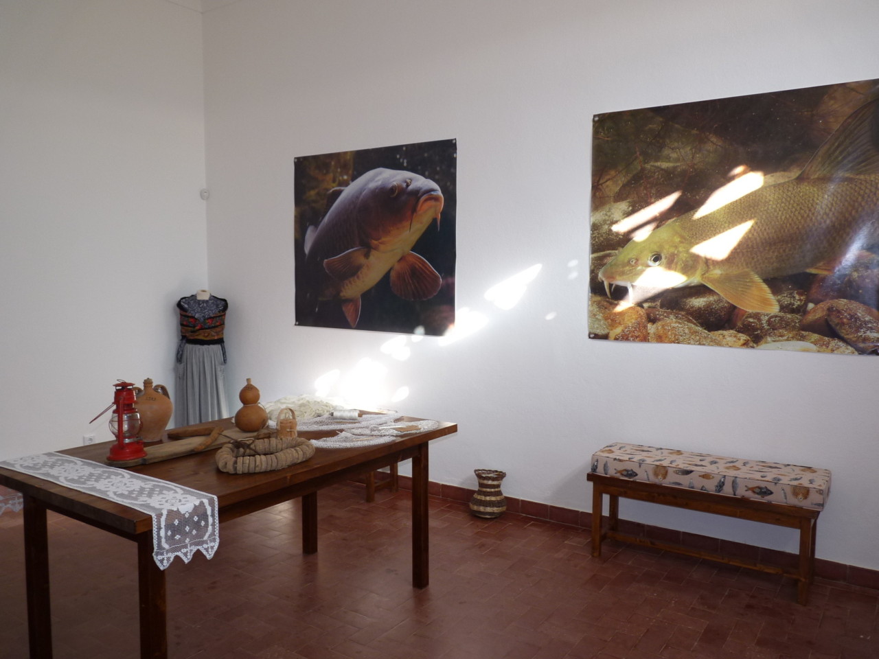 Centro Interpretativo do Conhal (5).JPG