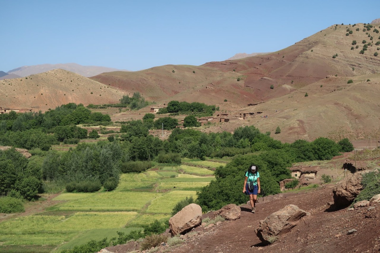 2017-06-20 2017-06-24 001 018.jpg 2017-06-20 2017-06-24 001 018.jpg