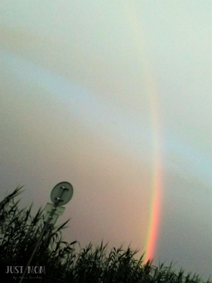 Just Mom by Mom Sandra