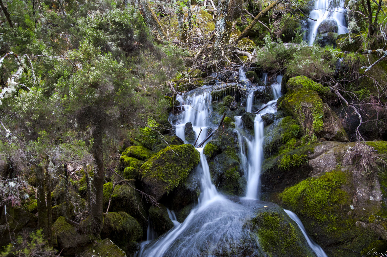 1600-olas (117).jpg 1600-olas (117).jpg