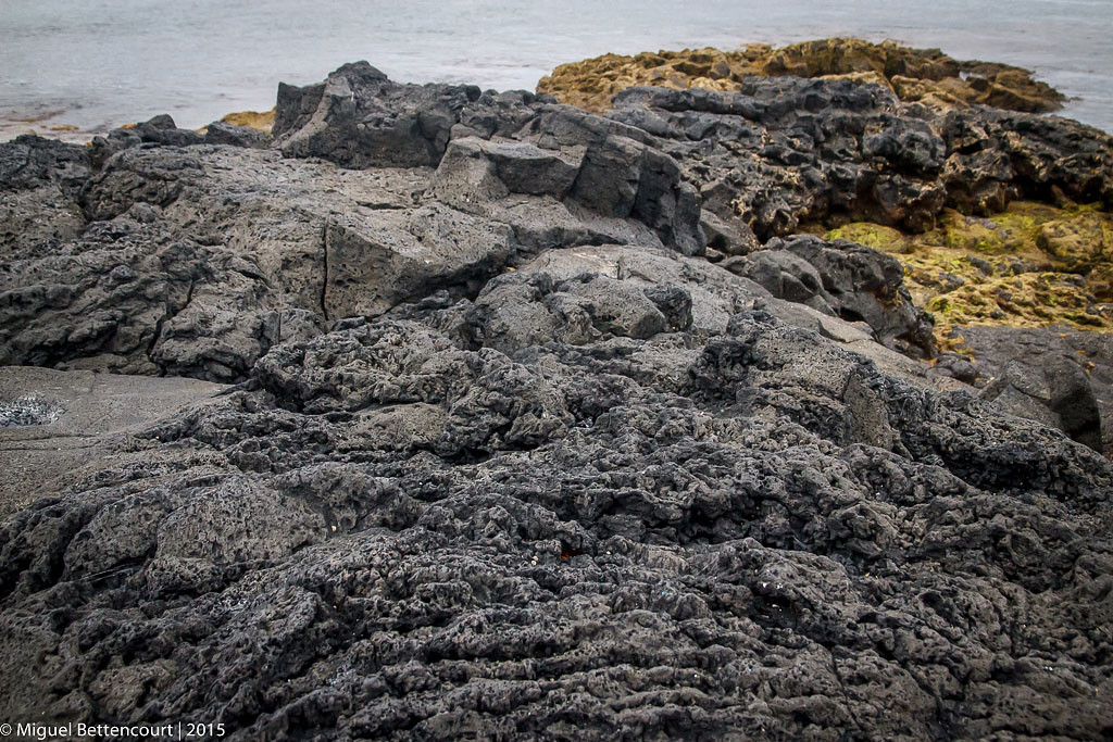 Foto Cronica 141DI DEZ21 - Correr no calhau.jpg