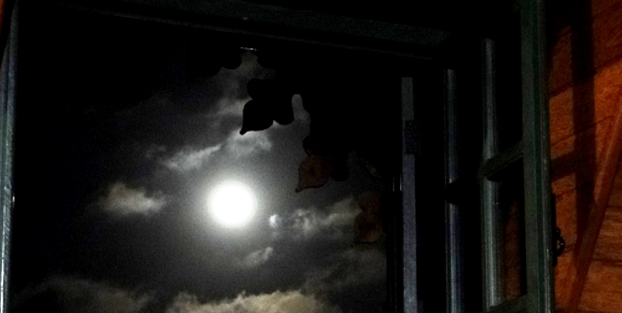 Chegou Serena.jpg Chegou Serena.jpg