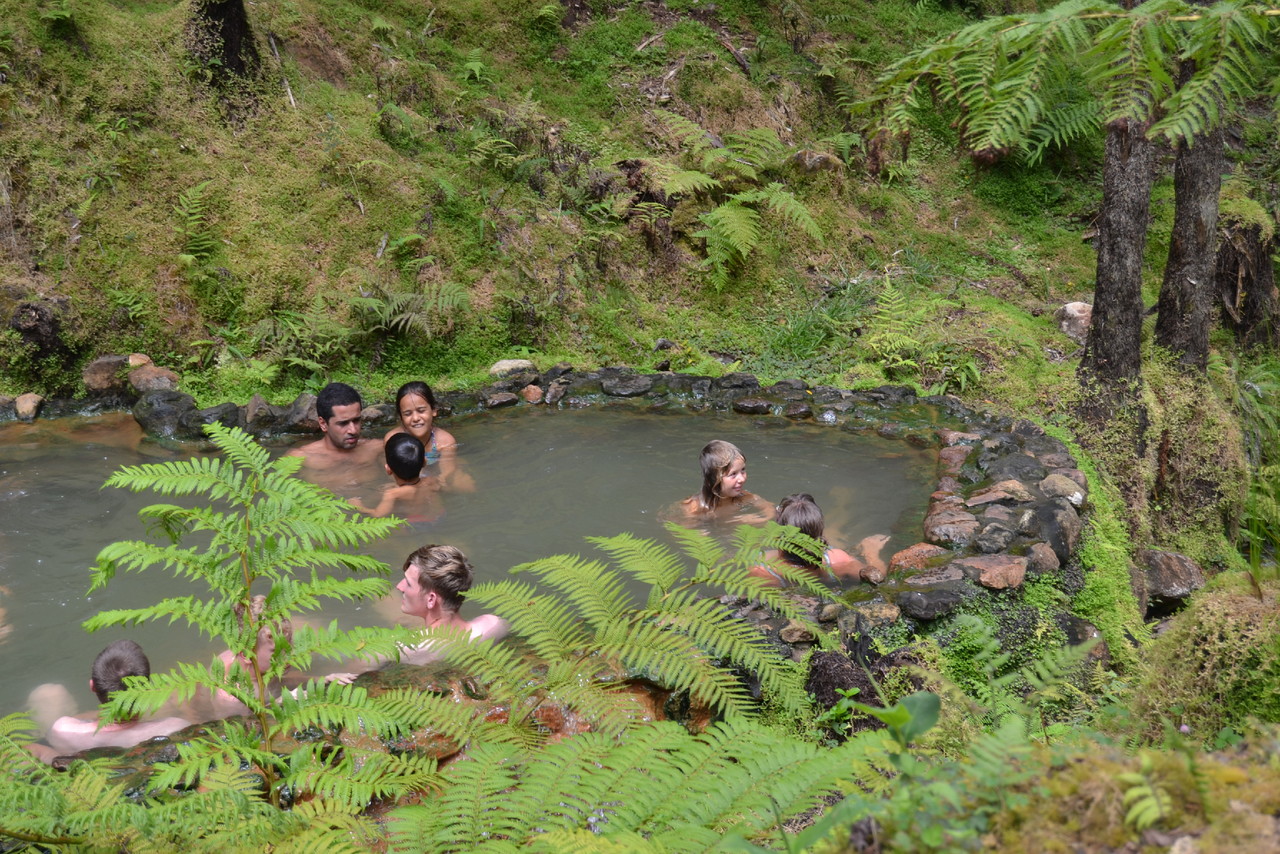 DSC_0991.JPG DSC_0991.JPG