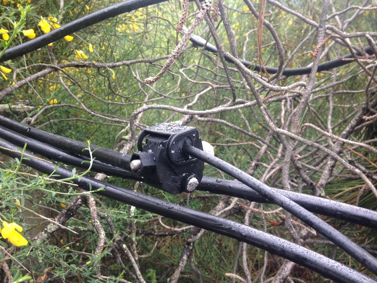 imgpsh_fullsize (5).jpg