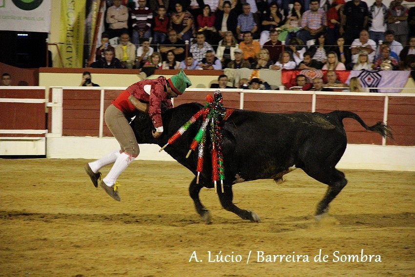 IMG_6814.JPG IMG_6814.JPG