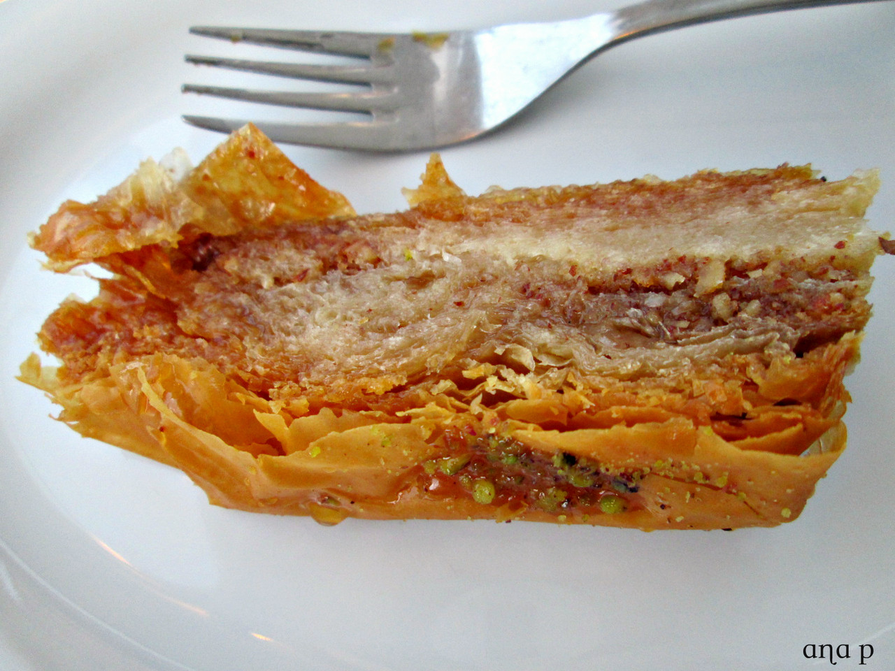 IMG_9282 cópia assin.jpg