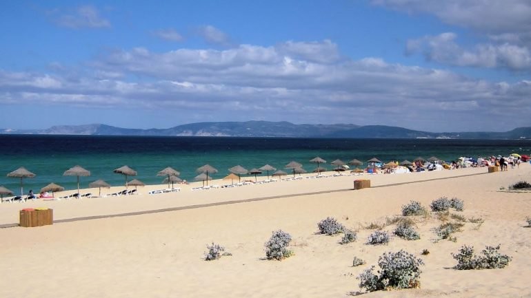 2686035123_51b9384886_o_770x433_acf_cropped-1.jpg 2686035123_51b9384886_o_770x433_acf_cropped-1.jpg