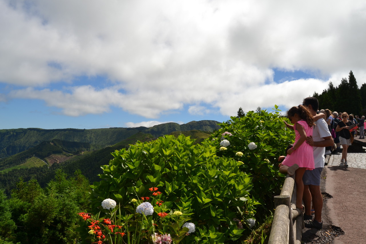 DSC_0456.JPG DSC_0456.JPG