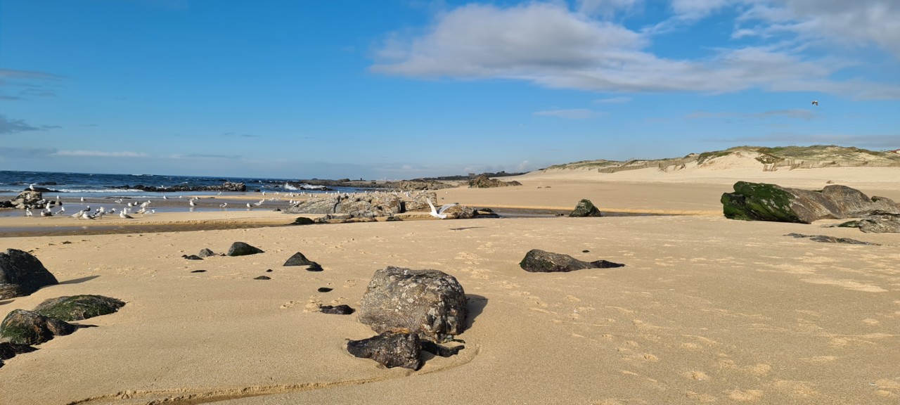 20210103_140320.jpg 20210103_140320.jpg