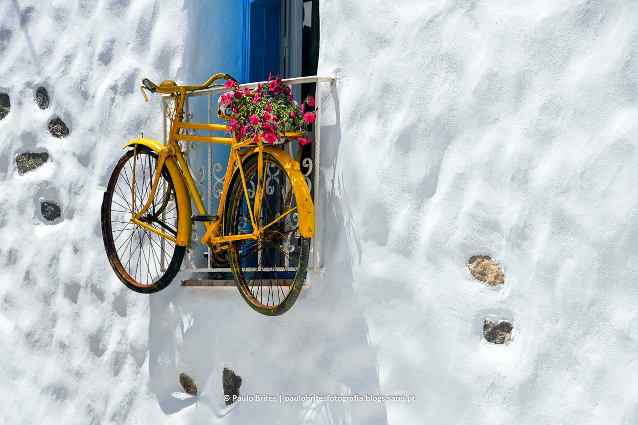 DSC_11406-1-2.jpg DSC_11406-1-2.jpg