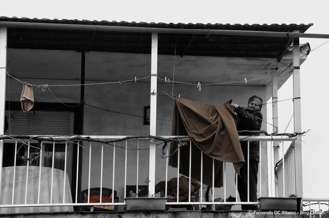 1600-report-1dia (139).jpg