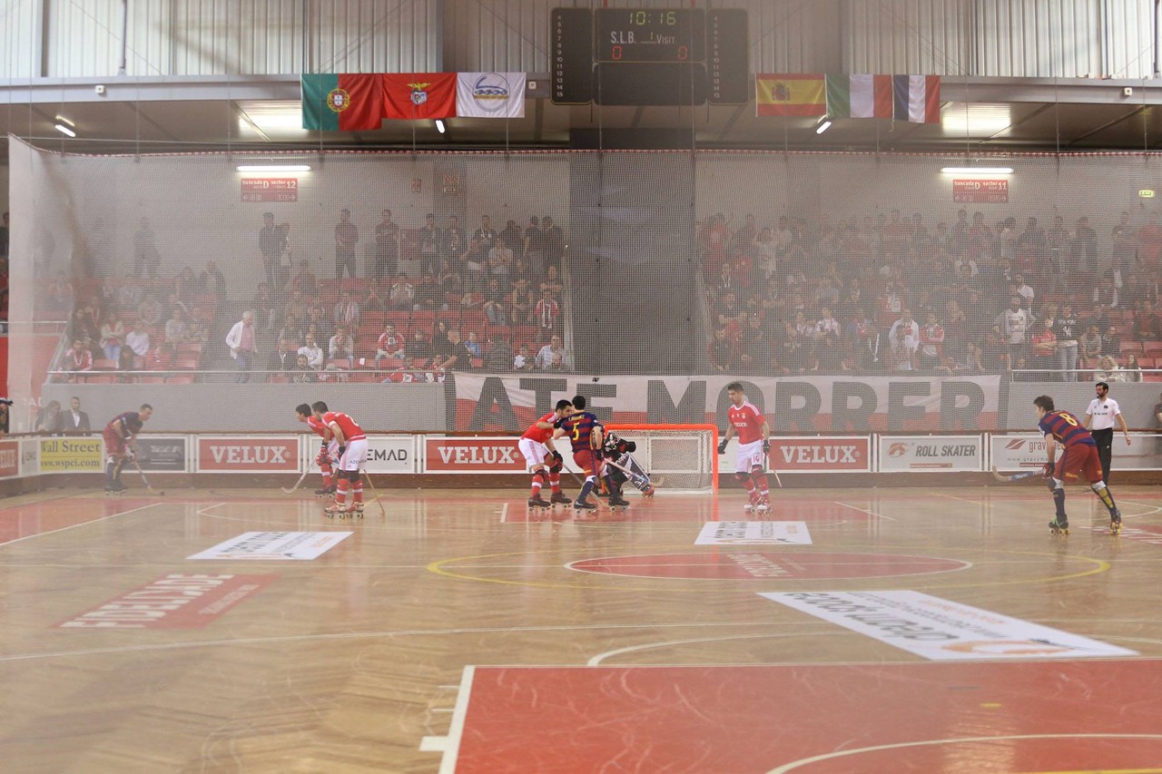 13246323_1146175245412932_1280220007157817816_o.jp