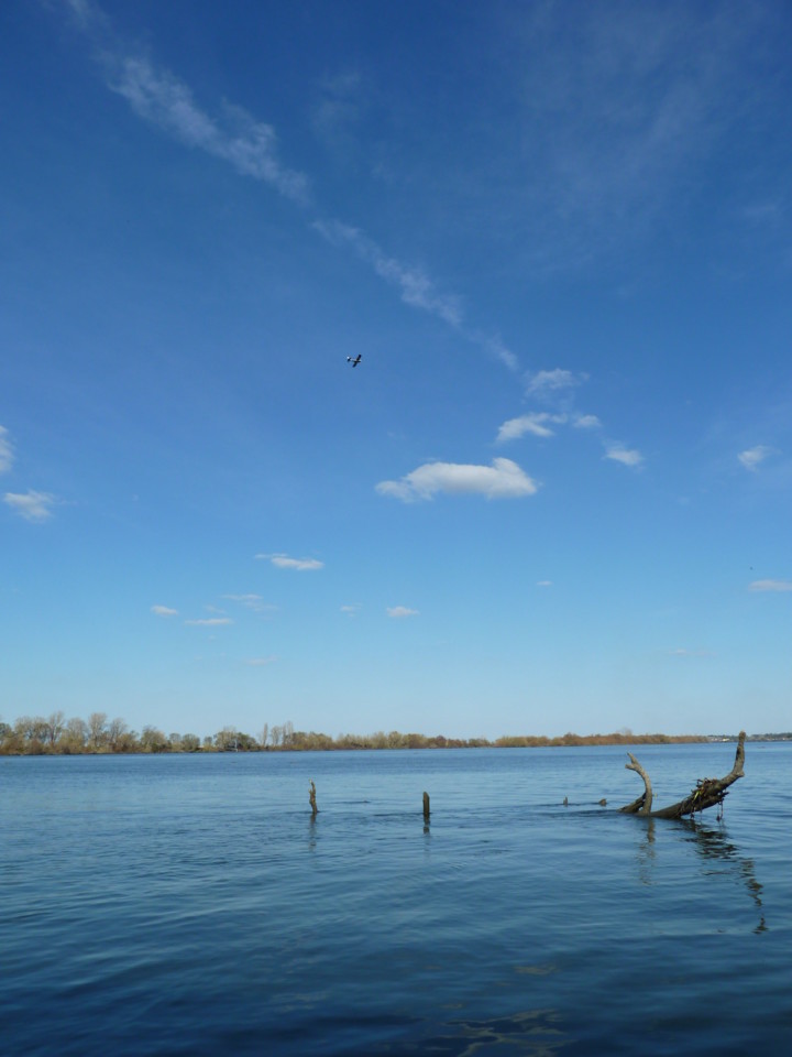 Passeio de barco (3).JPG