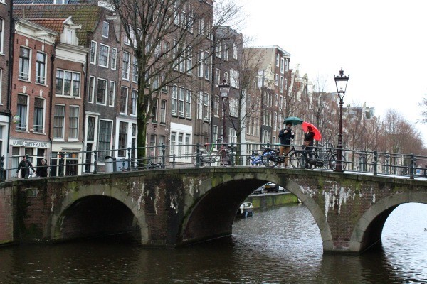 IMG_1139.JPG IMG_1139.JPG