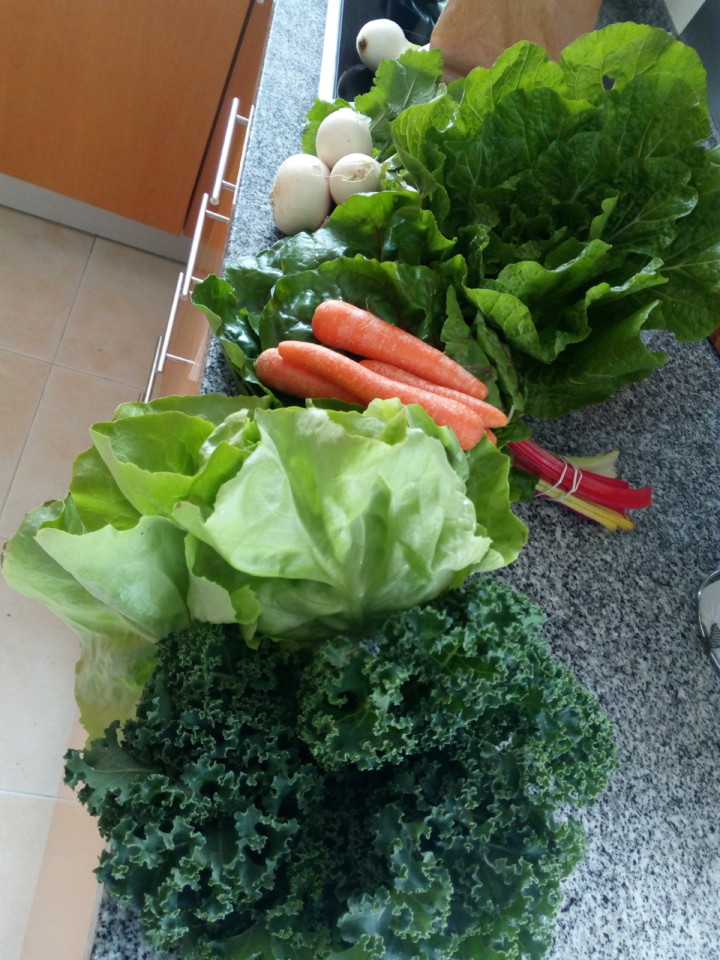 IMG_20180309_113855.jpg IMG_20180309_113855.jpg