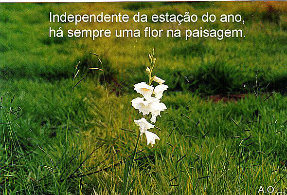 frases-sobre-a-natureza-forte-e-grandiosa-5.jpg