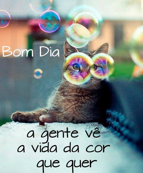 936596_1104359259588426_4695554663436721190_n.jpg 936596_1104359259588426_4695554663436721190_n.jpg