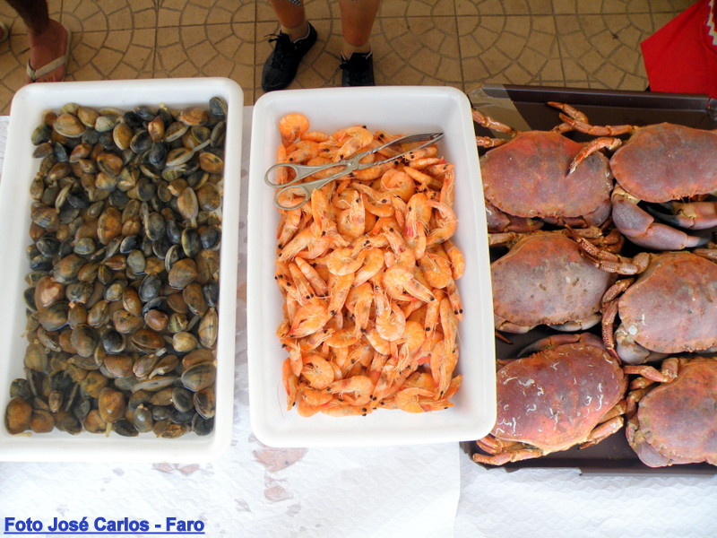 Derby Faro 2016 068.JPG