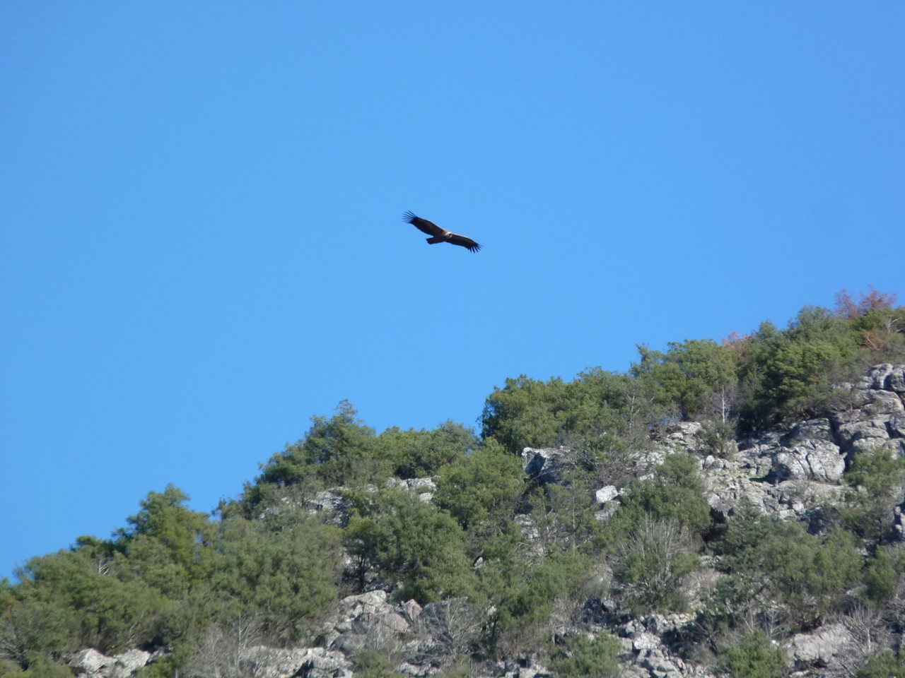 Conhal (22).jpeg Conhal (22).jpeg