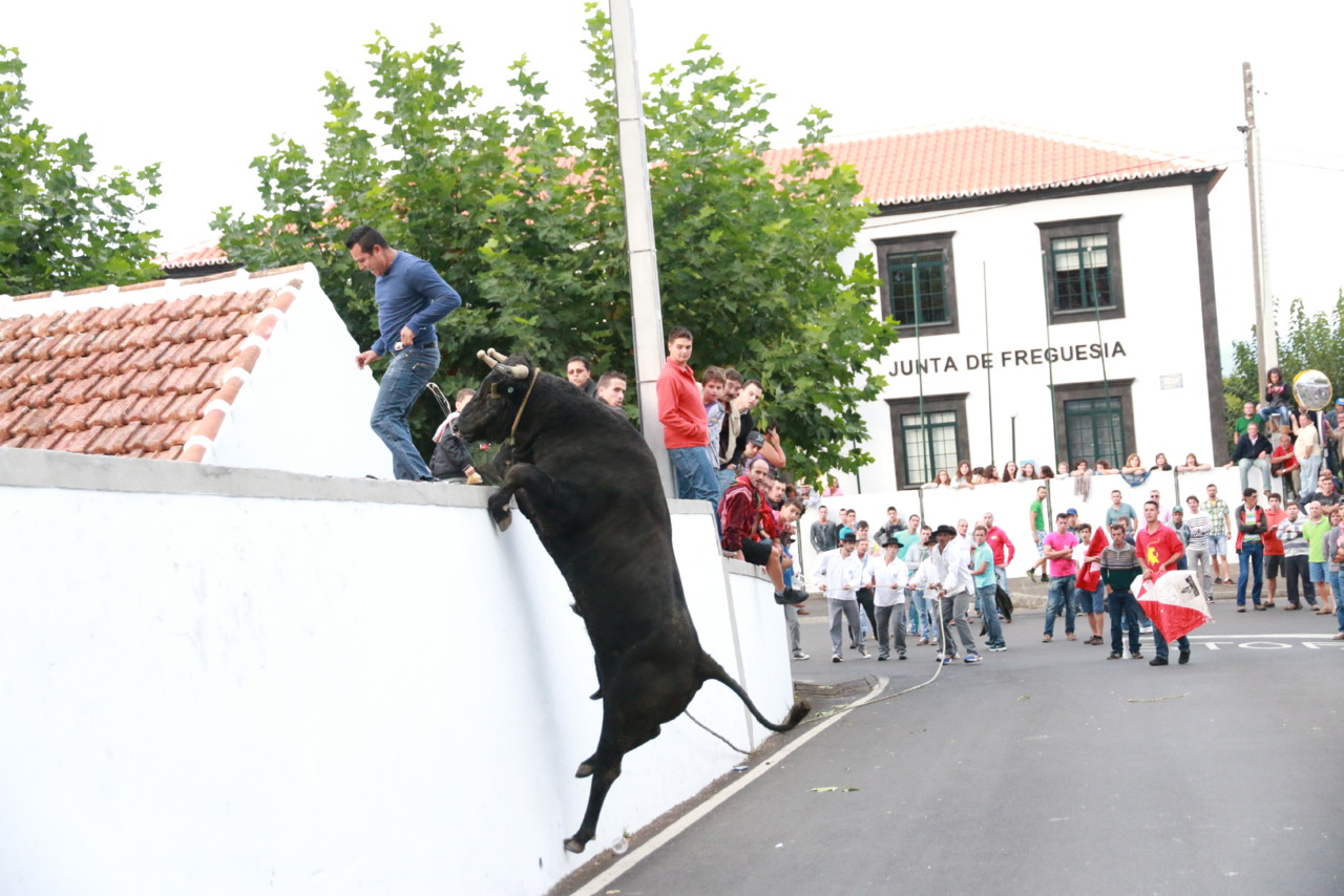 Foto Artigo MSAzevedo PGIL.JPG