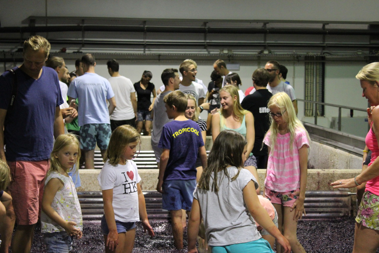 Vindimas 2018: Quinta de la Rosa