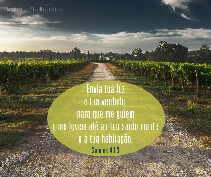 Envia a Tua luz.png Envia a Tua luz.png