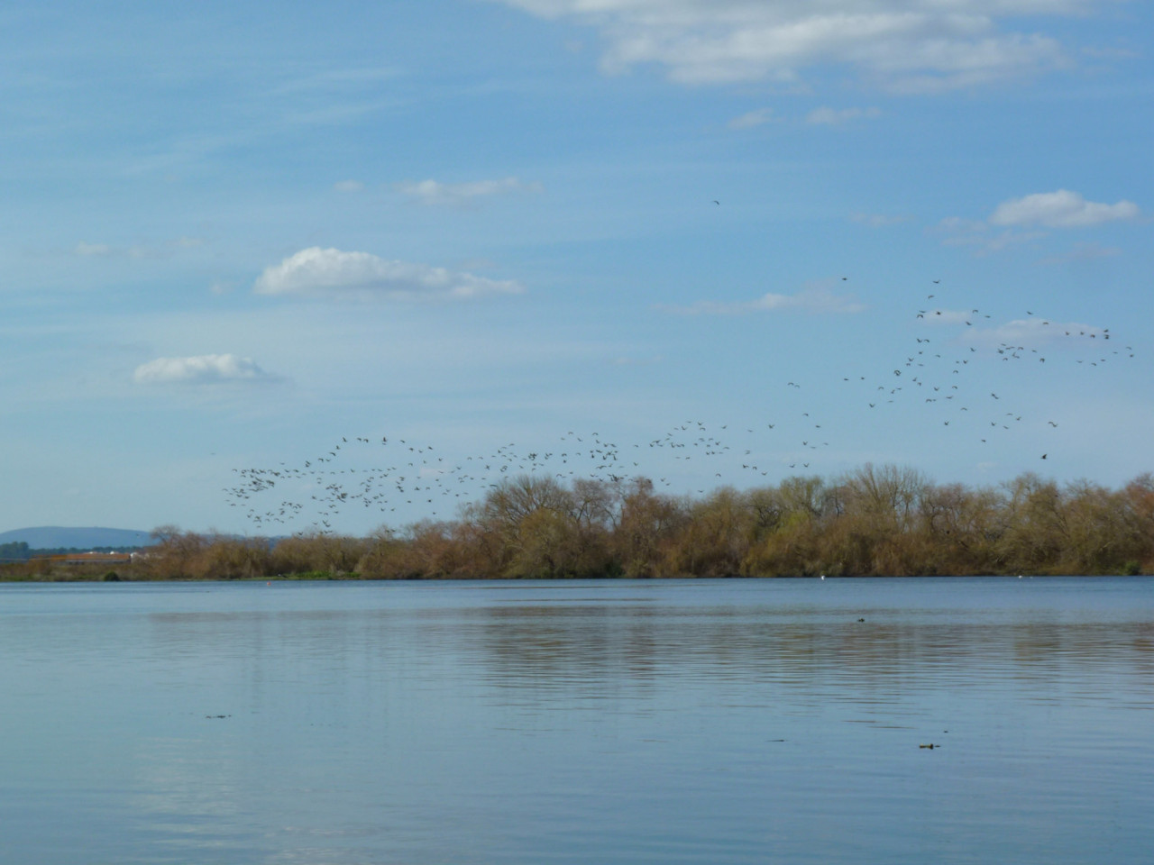 Passeio de barco (4).jpg