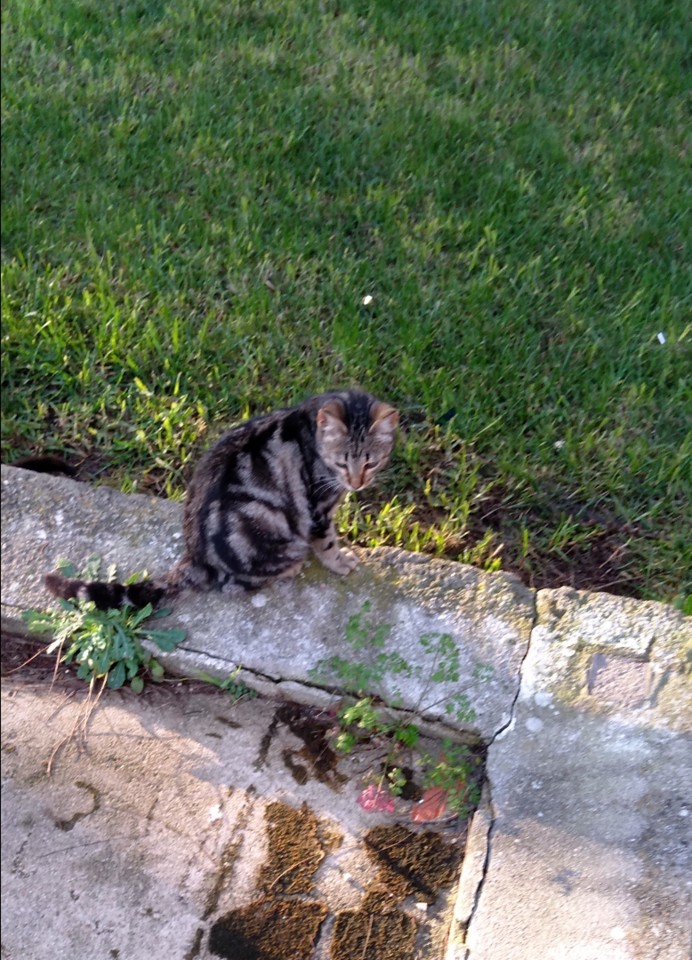 SquarePic_20200115_16250265.jpg SquarePic_20200115_16250265.jpg