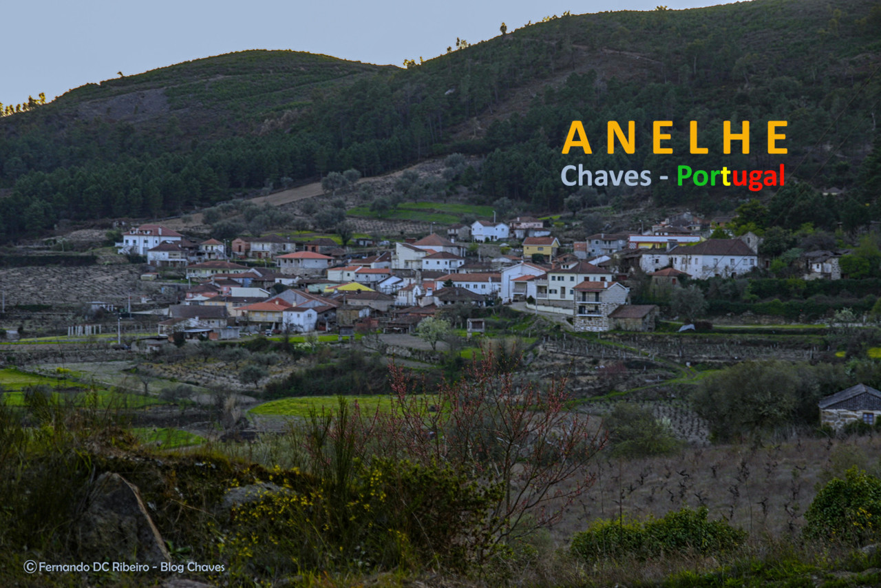 1600-anelhe (43).jpg