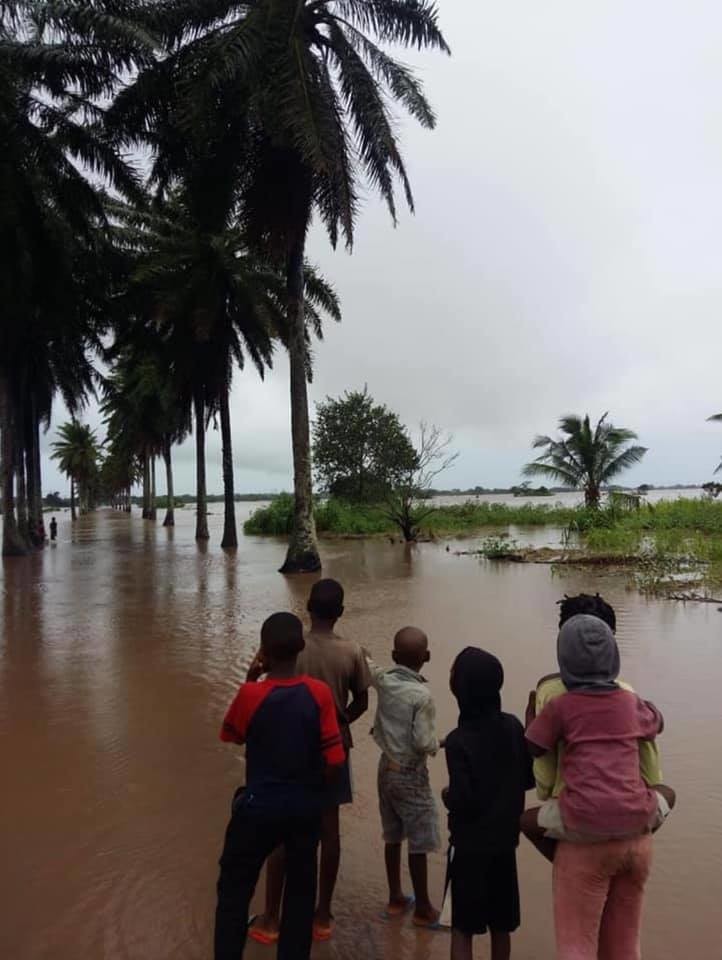 55621051_2369450963105413_8562346316250742784_n.jp