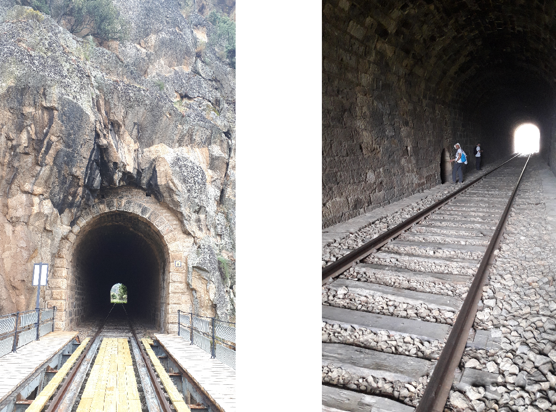 2 tuneis.png 2 tuneis.png