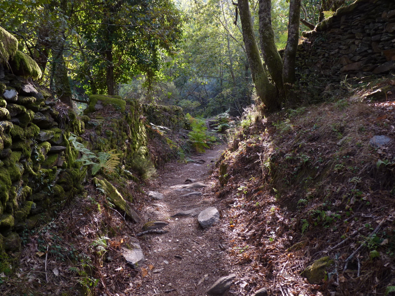 Ermelo (19).JPG Ermelo (19).JPG