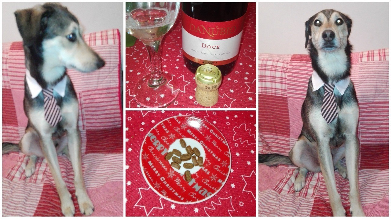 Untitled collage (10).jpg