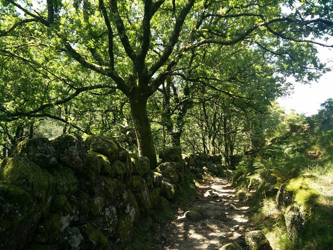 IMG_20170615_124315.jpg IMG_20170615_124315.jpg