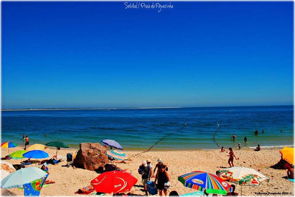 11695860_891871287517803_4953932532006323313_n.jpg 11695860_891871287517803_4953932532006323313_n.jpg