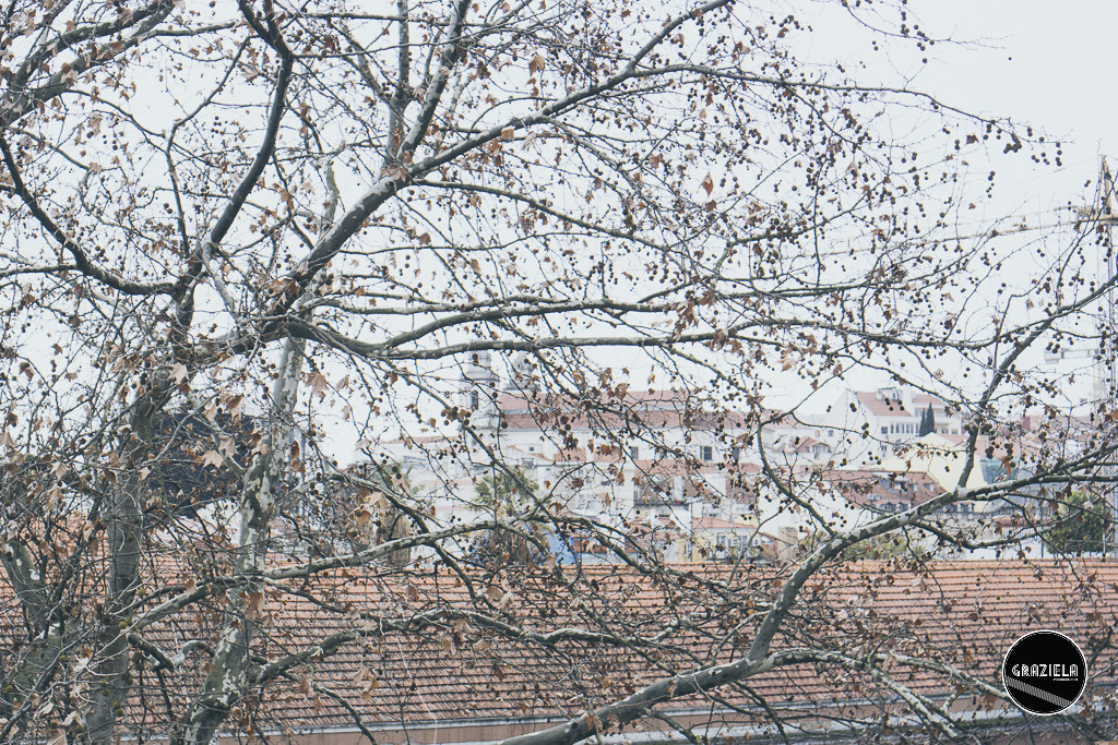 Reservatorio_Mae_de_Agua_Lisboa_Graziela_Costa-518