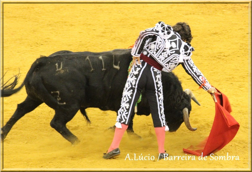 IMG_6729.JPG IMG_6729.JPG