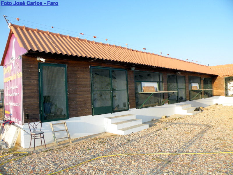 Derby Faro 2016 003.JPG