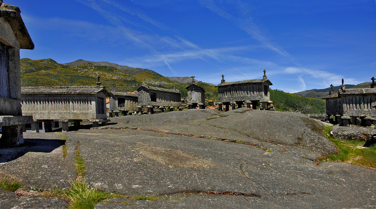 19435895_eJAP2.jpeg 19435895_eJAP2.jpeg